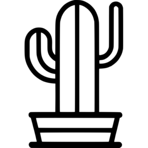 Cactus SVG Images - Free & Premium Files - svgcollections.com