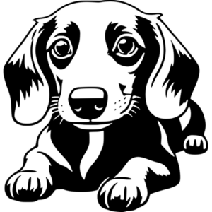 Adorable Dachshund SVG for Crafting - svgcollections.com