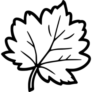 Single Fall Design Single Fall Leaf SVG - svgcollections.com