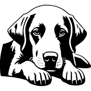 Labrador SVG Images - Free & Premium Files - svgcollections.com