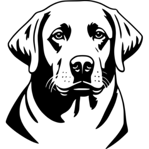 Labrador Head SVG - svgcollections.com