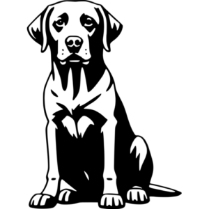 Labrador SVG Images - Free & Premium Files - svgcollections.com