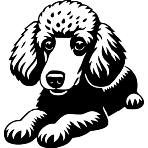 Poodle SVG Images - Free & Premium Files - svgcollections.com