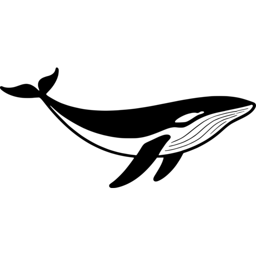 Elegant Whale Outline SVG - svgcollections.com