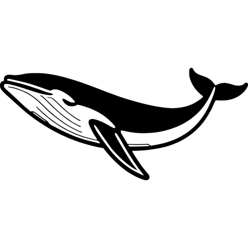 Elegant Whale Silhouette SVG - svgcollections.com