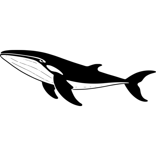 Majestic Whale Silhouette SVG - svgcollections.com